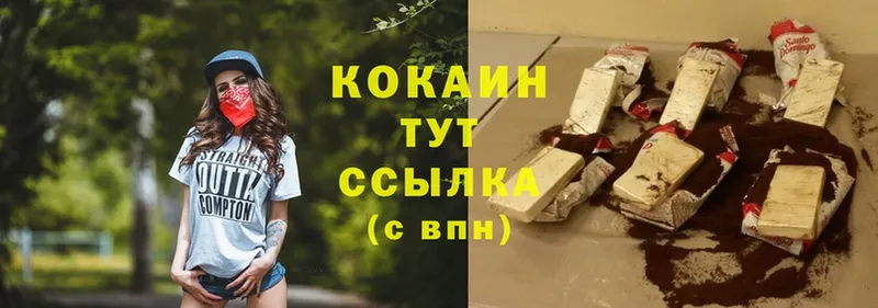 купить наркотики цена  Тарко-Сале  Cocaine FishScale 